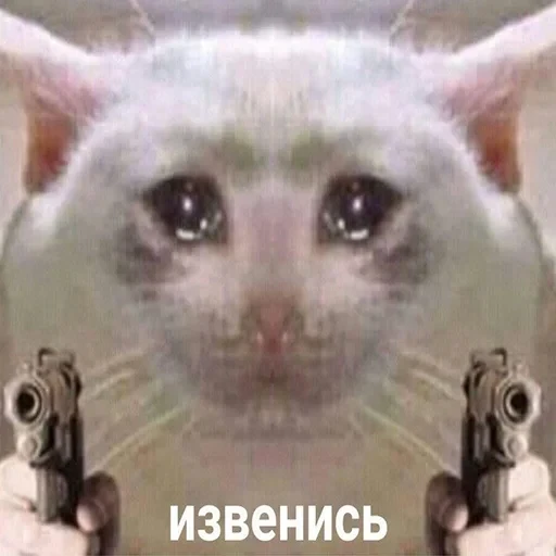 лохматi волоцюги — 32