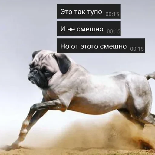 лохматi волоцюги — 49