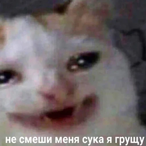лохматi волоцюги — 7