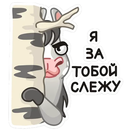 Макар — 40