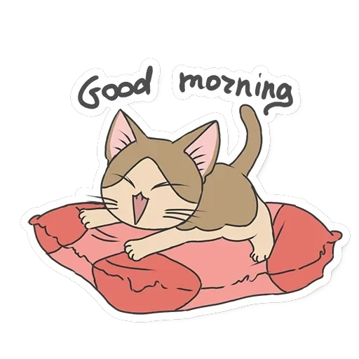 Meowcat — 12