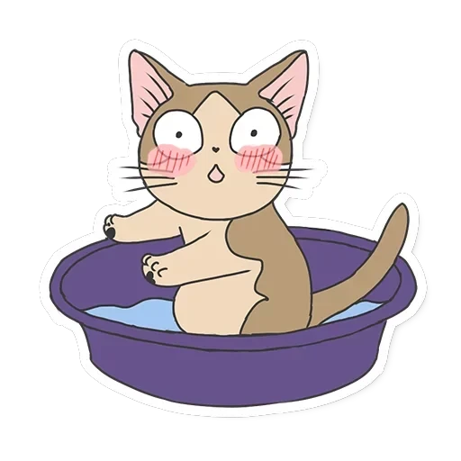 Meowcat — 17