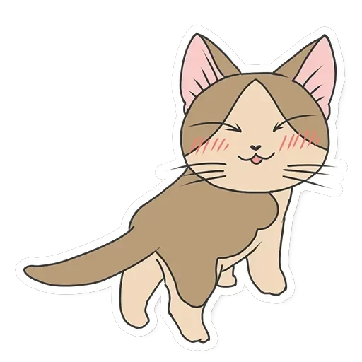 Meowcat — 19