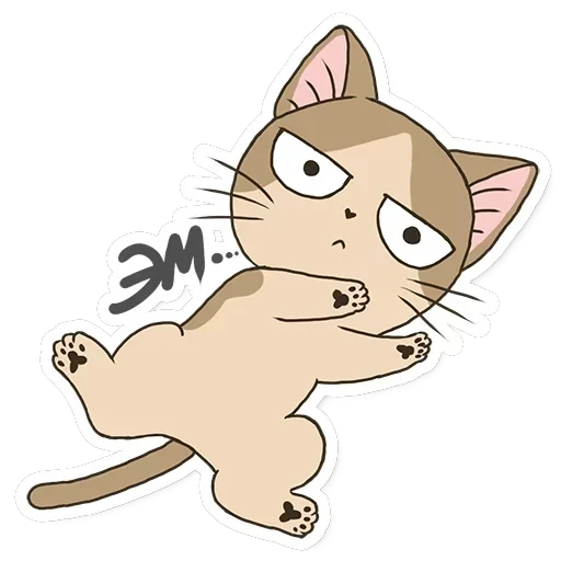 Meowcat — 6