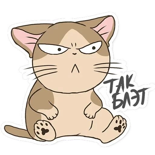 Meowcat — 9