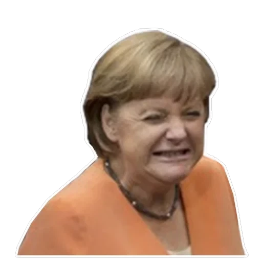 Merkel Pack — 24