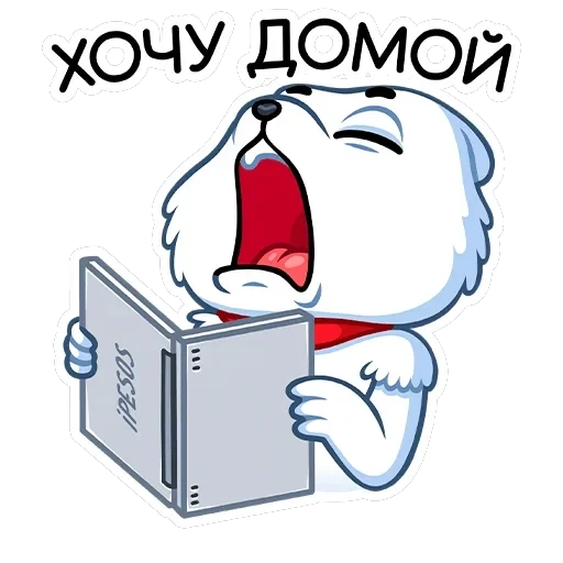 Миша Белый — 20