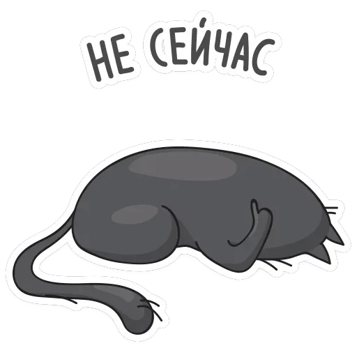Мисти — 21