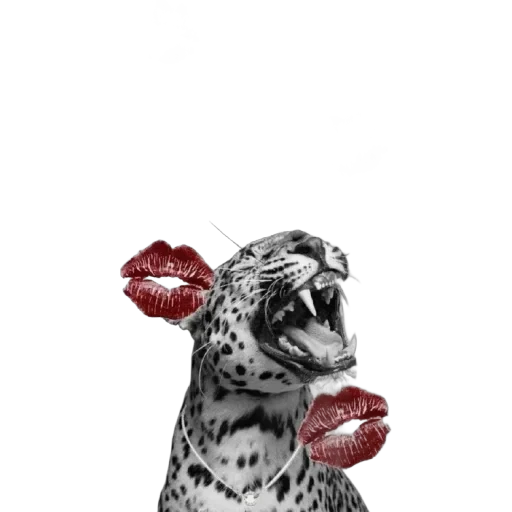 Mmmmlllsa — 18