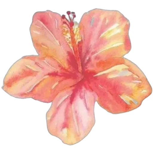 Mmmmlllsa — 4