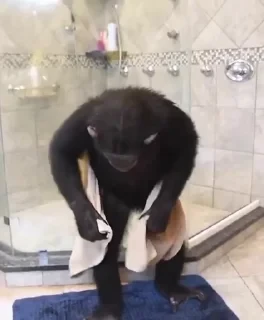 Monkestan СТИКЕРЫ 👇 @ok_sticker_bot — 22