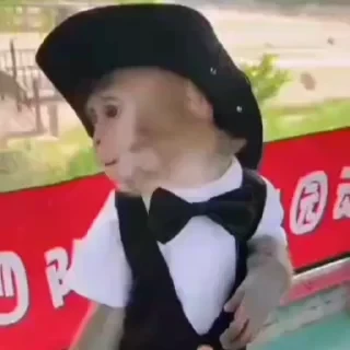 Monkey СТИКЕРЫ 👇 @ok_sticker_bot — 44