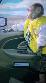 MONKEYS СТИКЕРЫ 🤜🤛 @LOWCs — 20