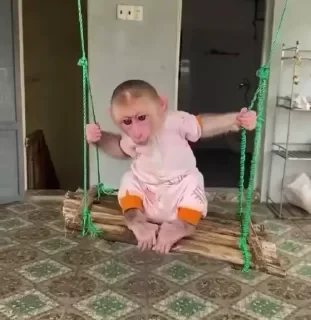 MONKEYS СТИКЕРЫ 🤜🤛 @LOWCs — 4