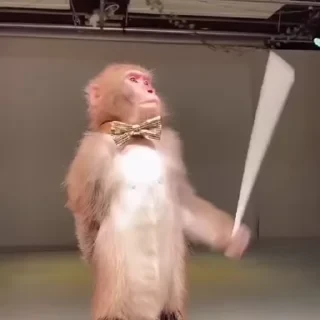 MONKEYS СТИКЕРЫ 🤜🤛 @LOWCs — 48