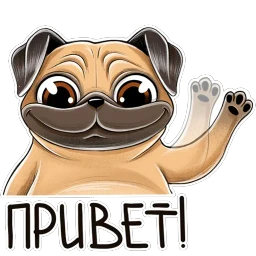 Мопс