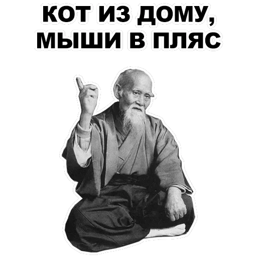 Мудрец — 21