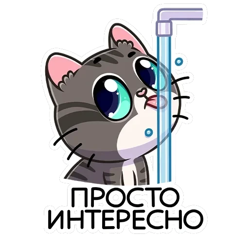 Муркс — 24