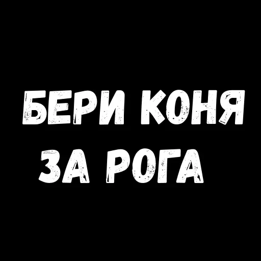 My Rules — 24