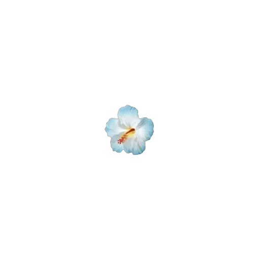 ꒰ :𝒷𝓁𝓊𝑒 𝓪𝑒𝓈𝓉𝒽𝑒𝓉𝒾𝒸𝓈 ”♡ᵎ꒱ˀˀ — 47
