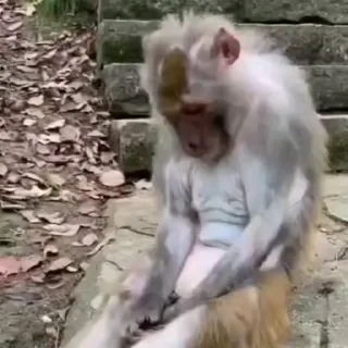 🚨 НЕ ЖМИ — 17
