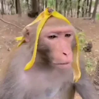 🚨 НЕ ЖМИ — 20
