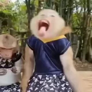 🚨 НЕ ЖМИ — 25