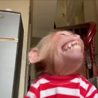🚨 НЕ ЖМИ — 27