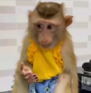 🚨 НЕ ЖМИ — 4