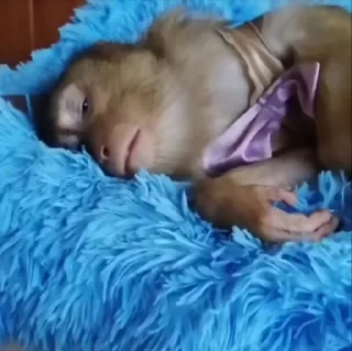 🚨 НЕ ЖМИ — 8
