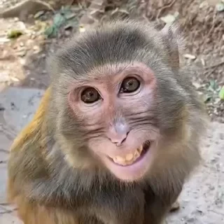 ⛔️ НЕ ЖМИ 🏻 — 1