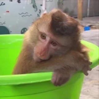 ⛔️ НЕ ЖМИ 🏻 — 11