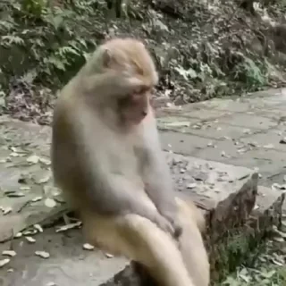 ⛔️ НЕ ЖМИ 🏻 — 12