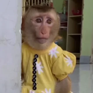 ⛔️ НЕ ЖМИ 🏻 — 13