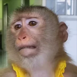 ⛔️ НЕ ЖМИ 🏻 — 14