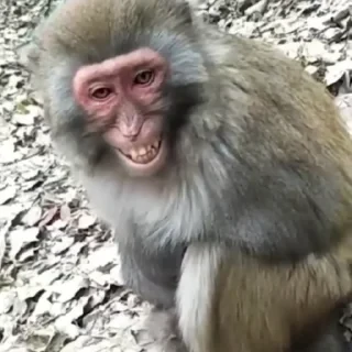 ⛔️ НЕ ЖМИ 🏻 — 3