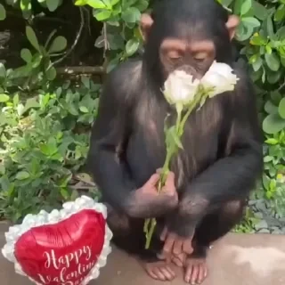 ⛔️ НЕ ЖМИ 🏻 — 25