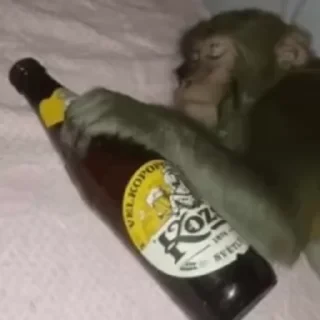 ⛔️ НЕ ЖМИ 🏻 — 27
