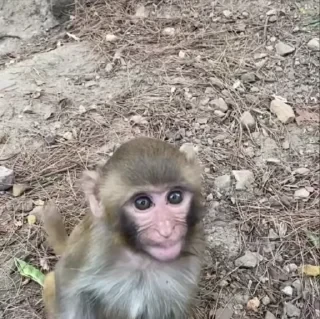 ⛔️ НЕ ЖМИ 🏻 — 4