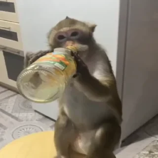 ⛔️ НЕ ЖМИ 🏻 — 32
