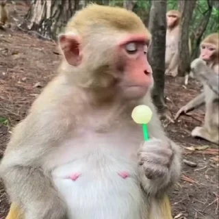 ⛔️ НЕ ЖМИ 🏻 — 36