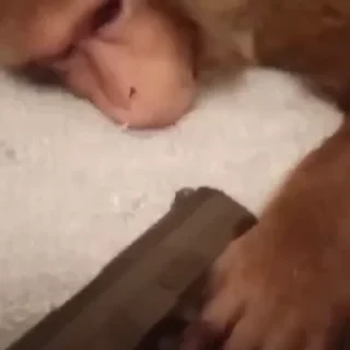 ⛔️ НЕ ЖМИ 🏻 — 5