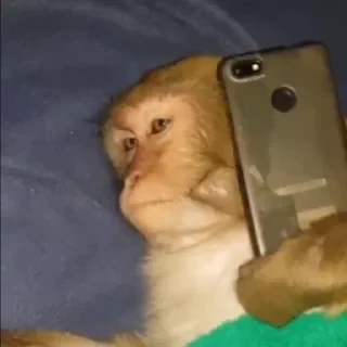 ⛔️ НЕ ЖМИ 🏻 — 43