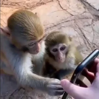 ⛔️ НЕ ЖМИ 🏻 — 45