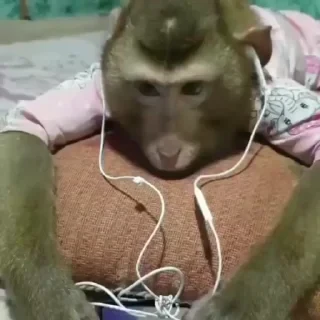 ⛔️ НЕ ЖМИ 🏻 — 47