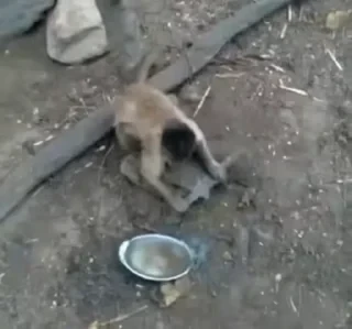 ⛔️ НЕ ЖМИ 🏻 — 8