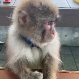 ⛔️ НЕ ЖМИ 🏻 — 9