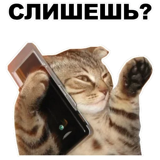 Negotiations — 2