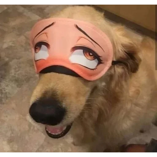 а — 2