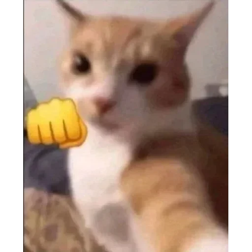 no 🚫 context 📃 — 12